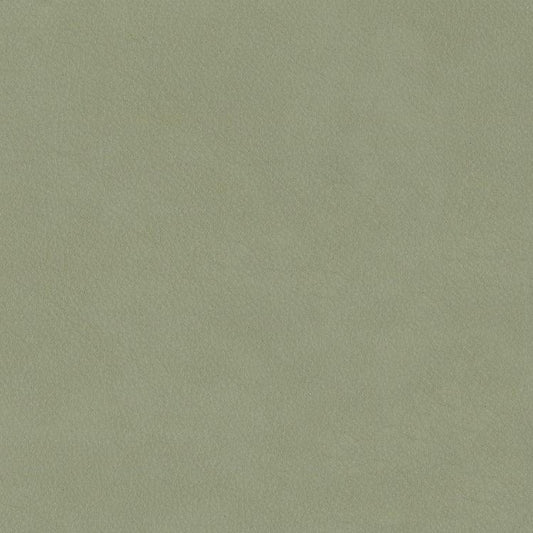 Leather Sample-Silk Kiwi Grade 3 Samples Omnia 