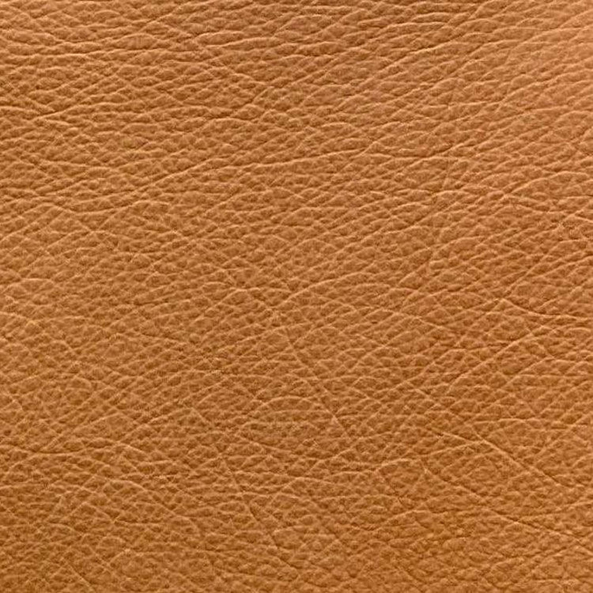 Leather Sample-Silk Palomino Aniline Leather Samples Omnia