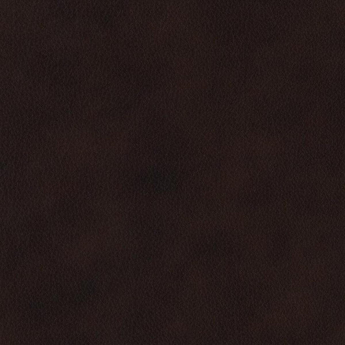 Leather Sample-Silk Shadow Aniline Leather Samples Omnia