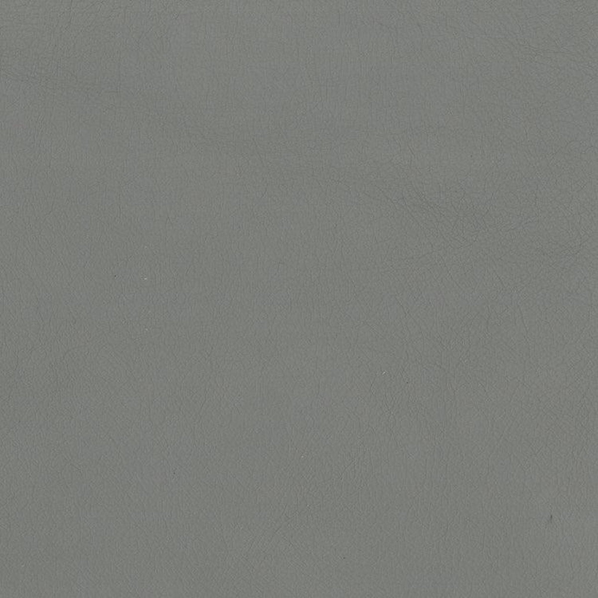 Leather Sample-Softsations Ash Aniline Leather Samples Omnia