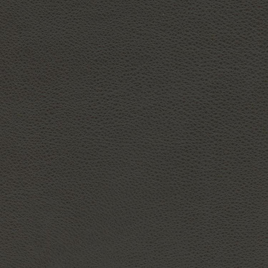 Leather Sample-Softsations Java Aniline Leather Samples Omnia 