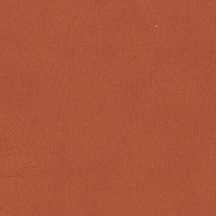 Leather Sample-Softsations Saddle Grade 3 Samples Omnia 