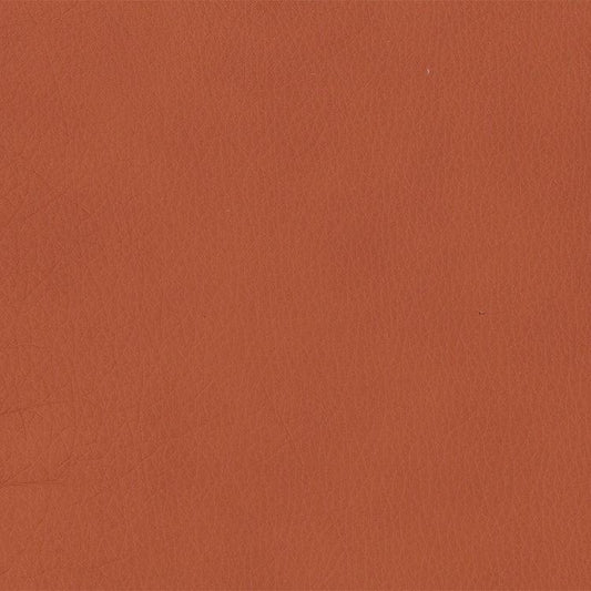 Leather Sample-Softsations Saddle Aniline Leather Samples Omnia 