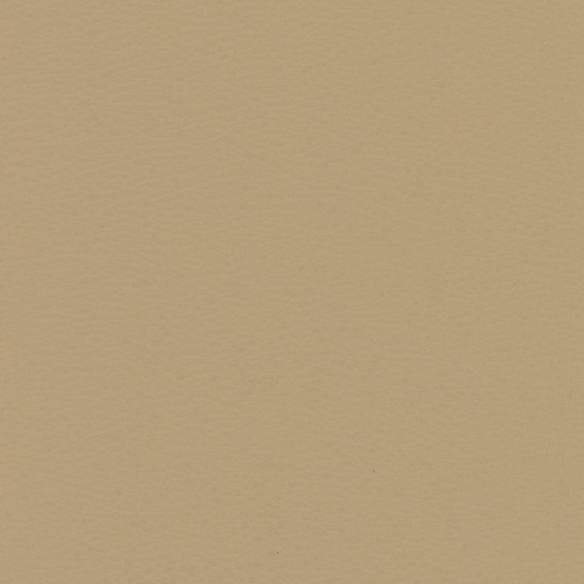 Leather Sample-Softsations Swiss Coffee Aniline Leather Samples Omnia