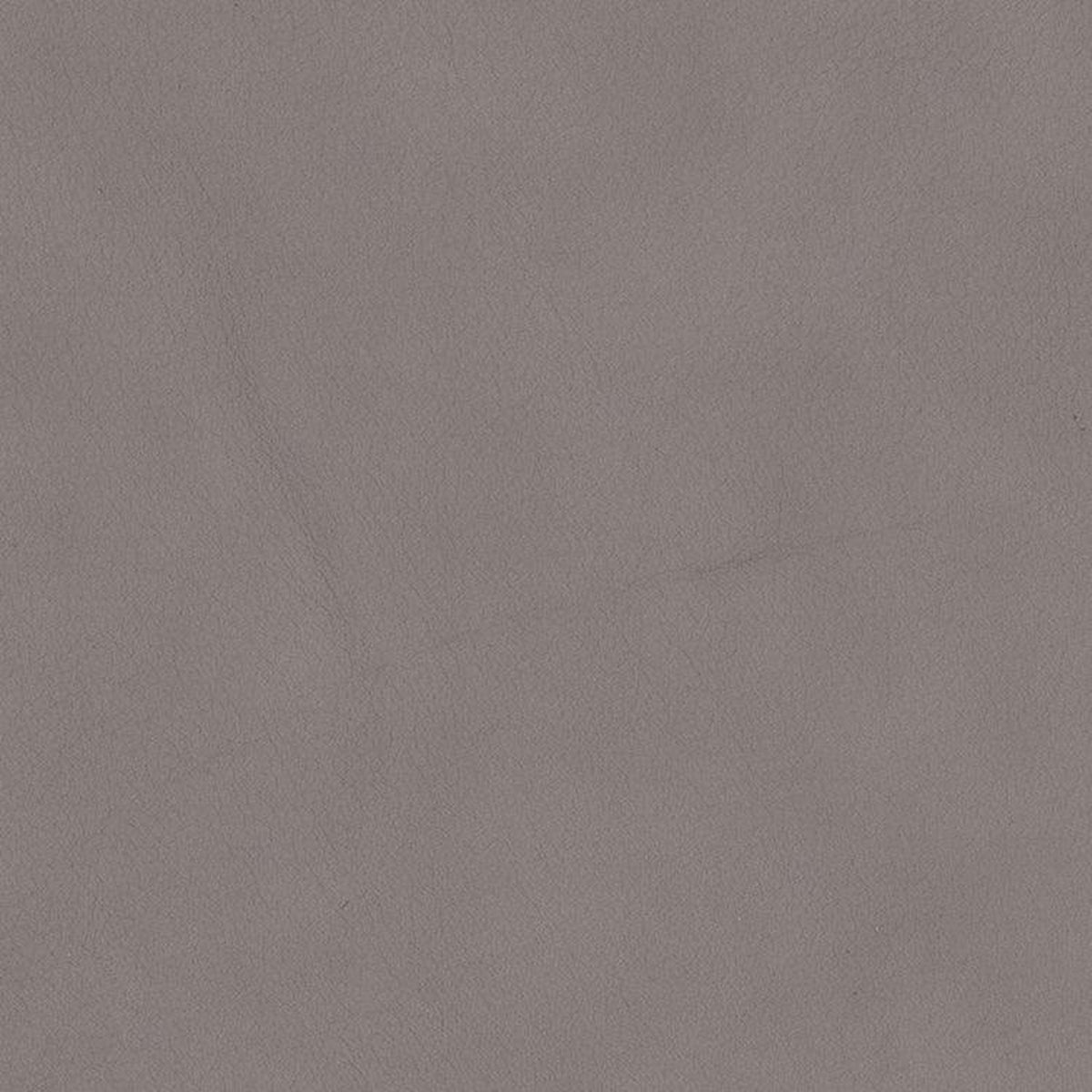 Leather Sample-Urban Arctic Protected Leather Samples Omnia
