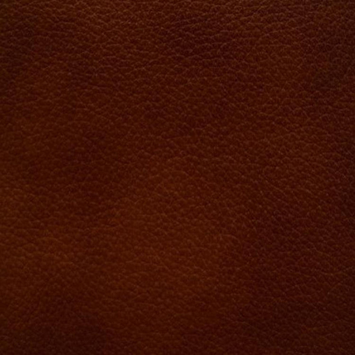 Leather Sample-Valentino Cognac Protected Plus Samples Omnia