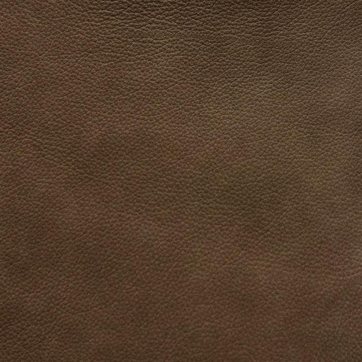 Leather Sample-Valentino Corda Protected Plus Samples Omnia