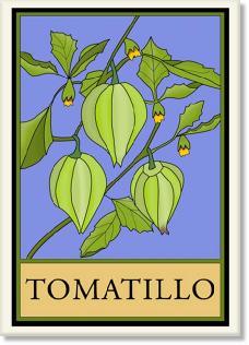 Stylized Craftsman Tomatillo Print Decor Wildflower Graphics 
